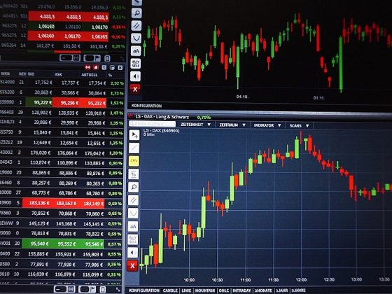 Managing risk in trading: Lessons from experts