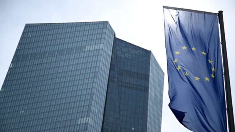 European Central Bank policymakers split on the need for big rate cuts