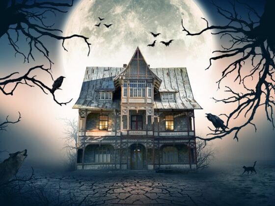 ALDI OFFERS £1,000 WORTH OF VOUCHERS TO THE SCARIEST HOUSE IN BRITAIN